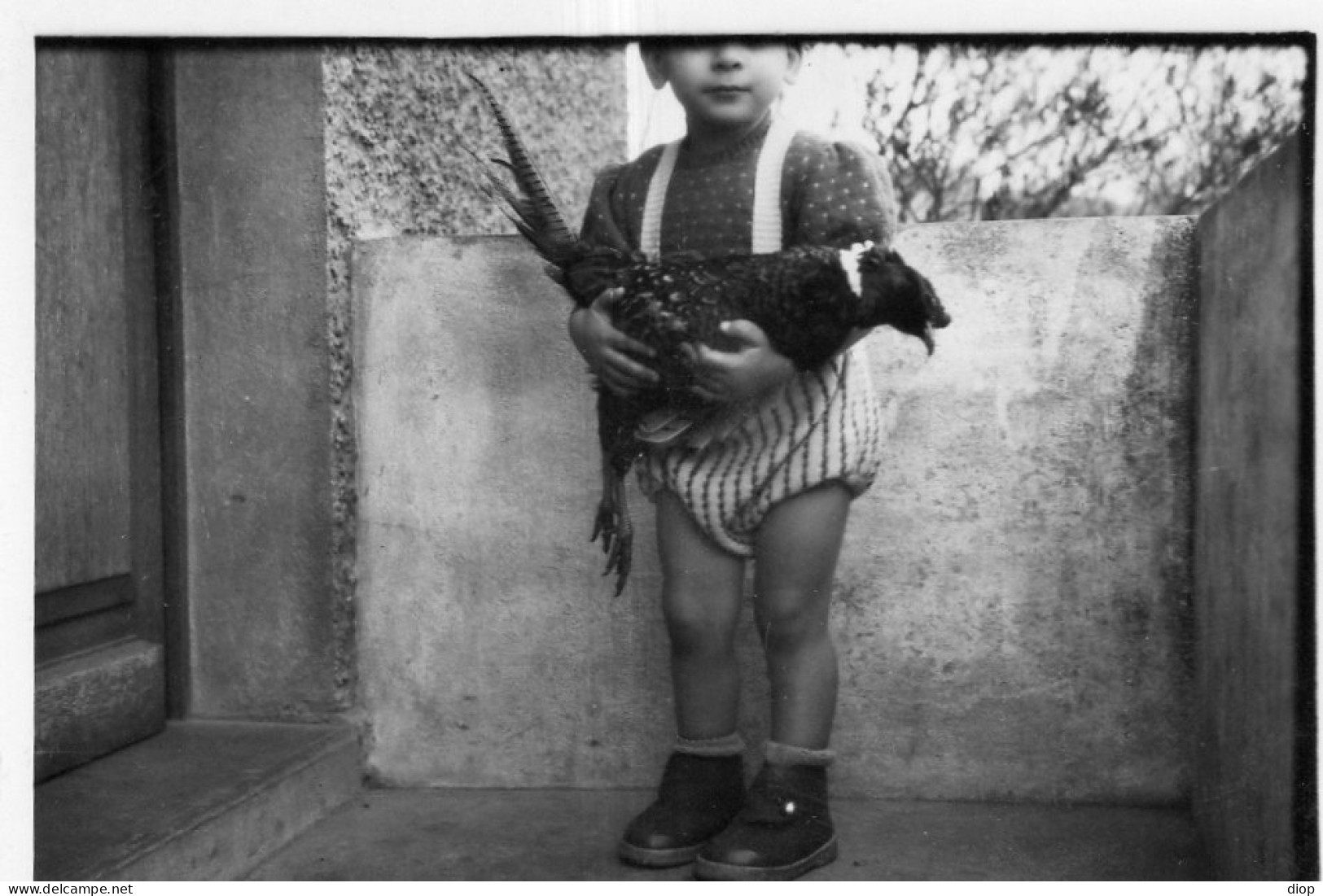 Photographie Photo Vintage Snapshot Enfant Child Faisan Headless T&ecirc;te Coup&eacute;e  - Anonieme Personen