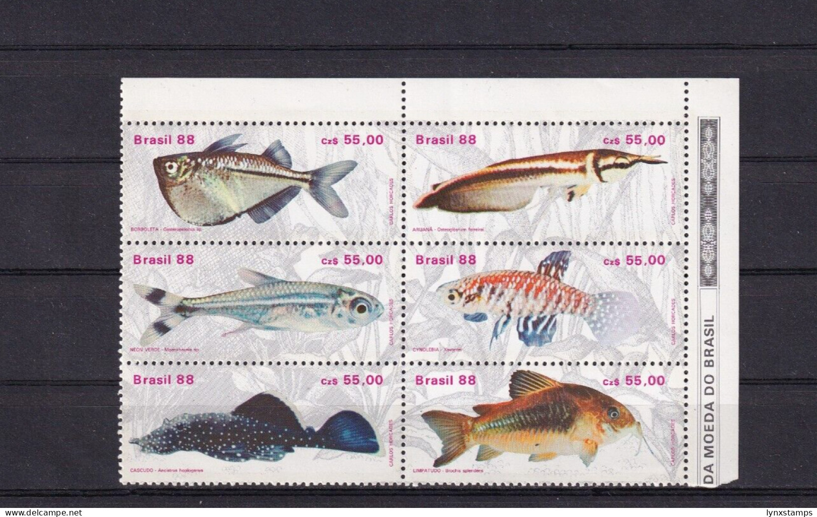 SA06 Brazil 1988 Freshwater Fish Block Mint - Unused Stamps