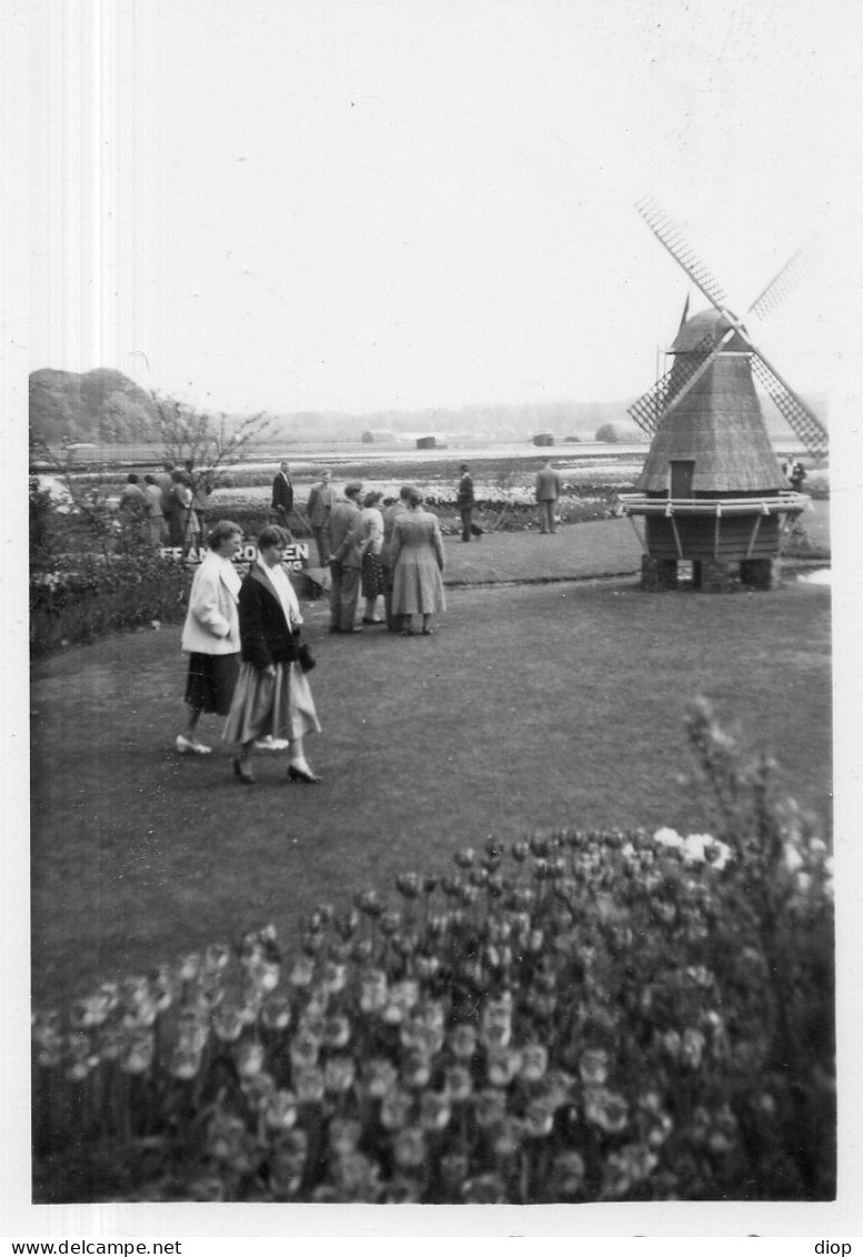 Photographie Photo Vintage Snapshot Site Paysage Landscape Moulin Windmill  - Orte