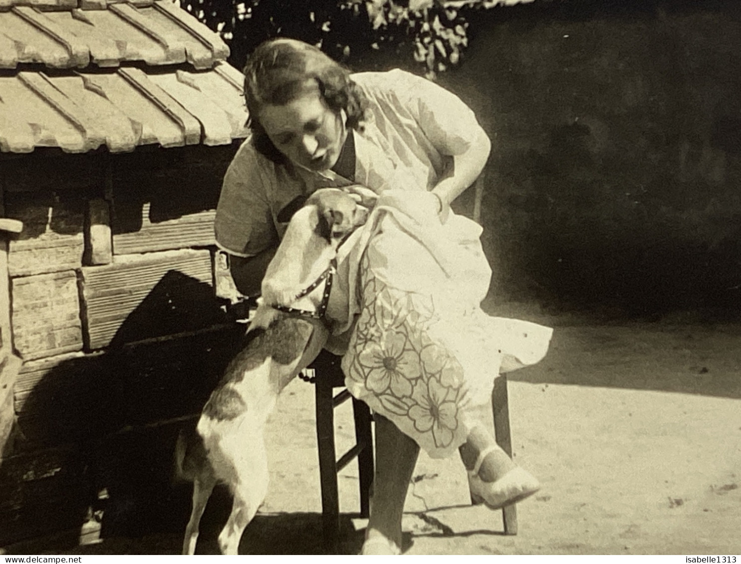 Photo Snapshot 1930 Cannes Femme, Assise, Les Gens Croisées En Robe. Le Chien Fait Le Beau Sur Sa Robe. Elle L’embrasse. - Anonyme Personen