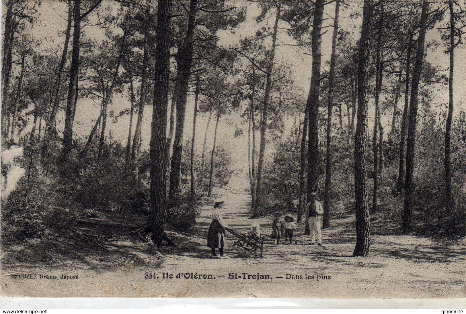 St Saint Trojan Ile D'oleron Dans Les Pins - Sonstige & Ohne Zuordnung