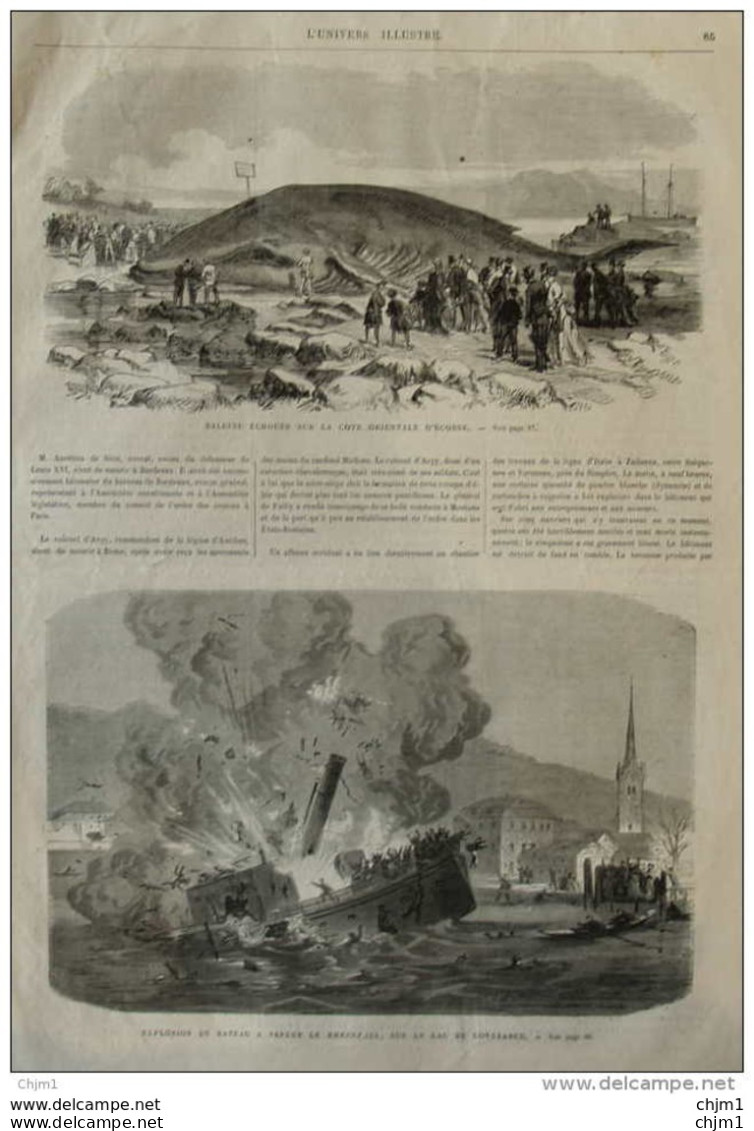 Explosion Du RHEINFALL Sur Le Lac De Constance - Baleine échouée Sur La Côte Orientale D'écosse - Page Original 1870 - Historical Documents