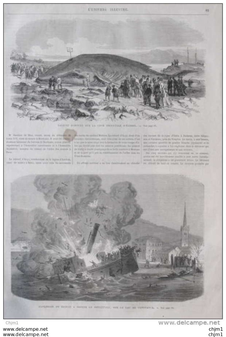 Baleine échouée Sur Le Côte Orientale D'Écosse - Explosion Du Bateau RHEINFALL Am Bodensee -  Page Original 1870 - Historische Dokumente