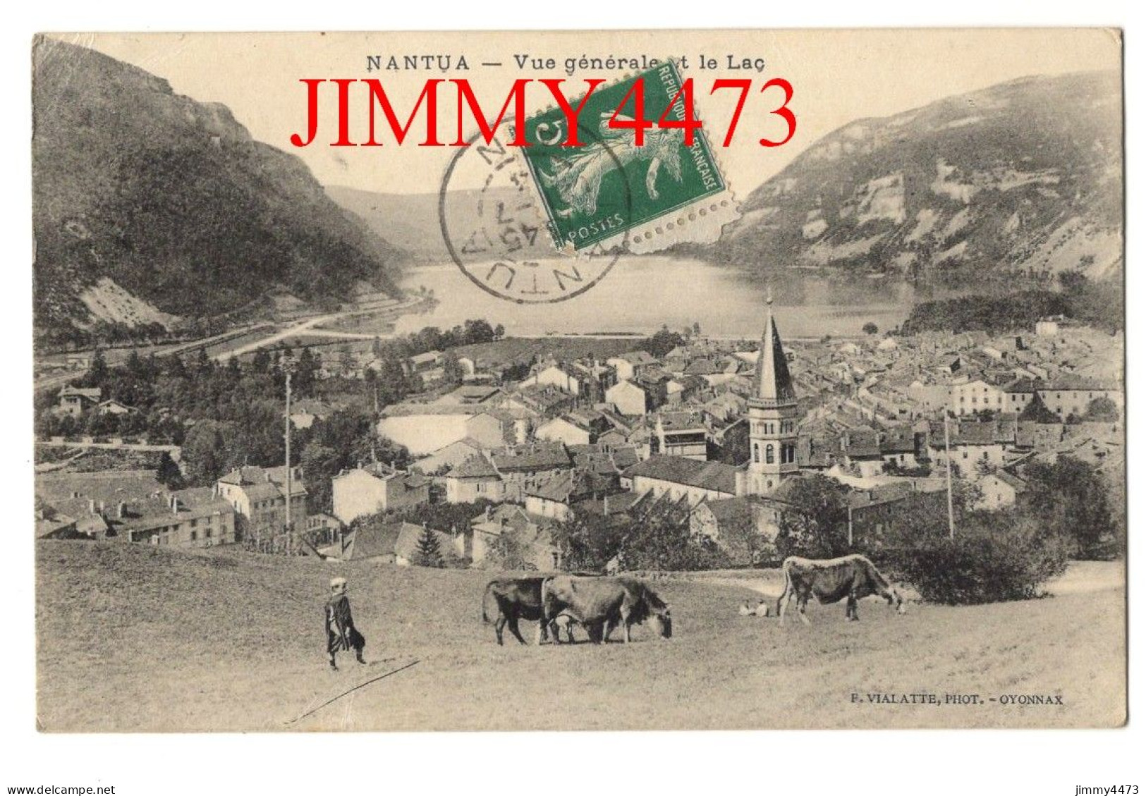 CPA - NANTUA En 1914 - Vue Générale Et Le Lac - Phot. F. VIALATTE - Oyonnax - Nantua