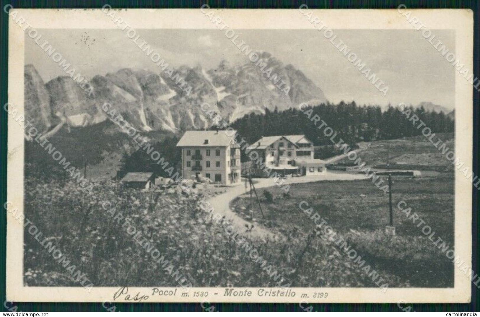 Belluno Cortina D'Ampezzo Pocol Monte Cristallo Cartolina VK1280 - Belluno