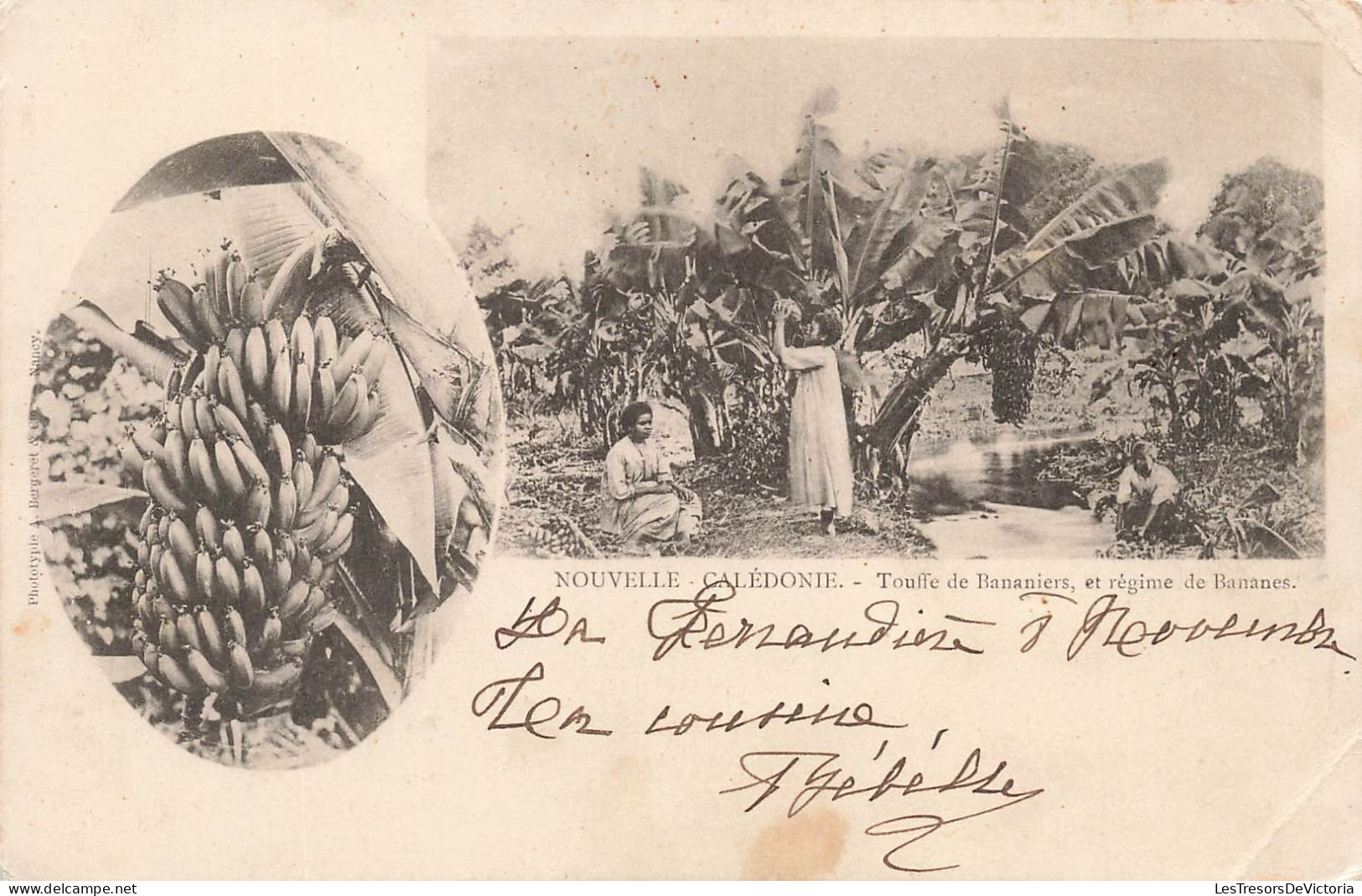 NOUVELLE CALEDONIE - Touffe De Bananiers Et Régime De Bananes - Animé - Carte Postale Ancienne - New Caledonia