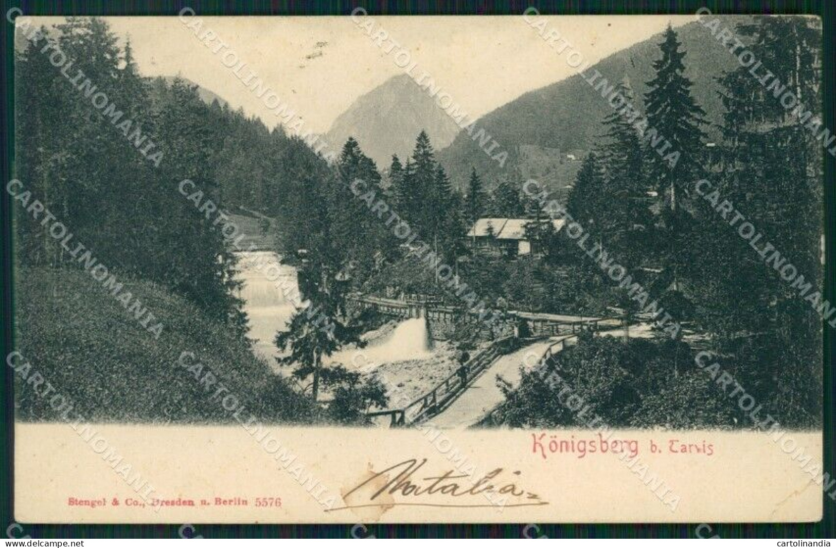 Udine Tarvisio Konigsberg PIEGHINA Cartolina VK1901 - Udine