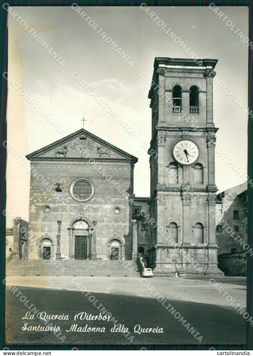 Viterbo La Quercia MACCHIA Foto FG Cartolina ZKM8093 - Viterbo