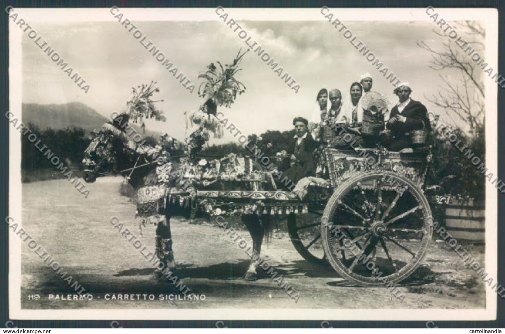 Palermo Carretto Siciliano Asino Foto Cartolina ZT8364 - Palermo