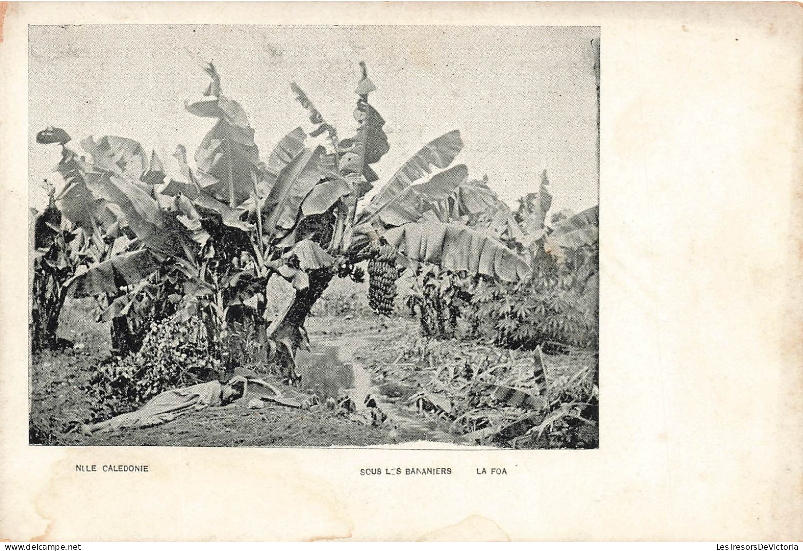 NOUVELLE CALEDONIE - Sous Les Bananiers - Animé - Carte Postale Ancienne - Neukaledonien