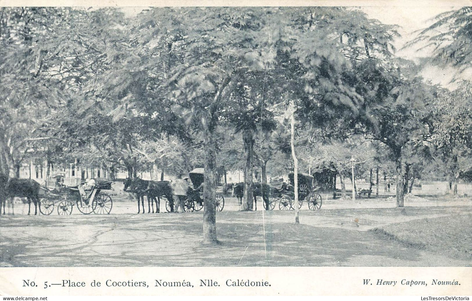 NOUVELLE CALEDONIE - Nouméa - Place De Cocotiers - Animé - Carte Postale Ancienne - New Caledonia