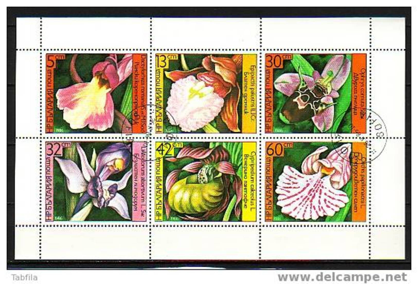 BULGARIA - 1986 - Orchidees - PF Obl. - Gebruikt