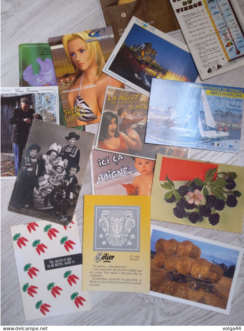 LOT DE 250 CPM - Thèmes Divers  - Humour - Pub - Folklore -Zodiaque  - Animaux - Fleurs  -Enfants - Agriculture - 100 - 499 Postales