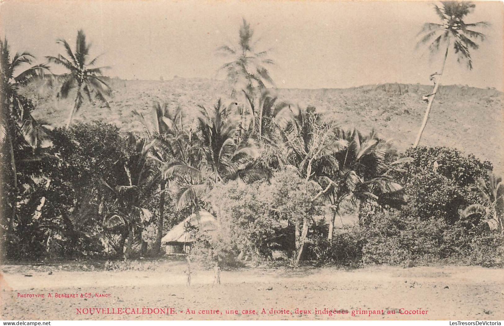 NOUVELLE CALEDONIE - Au Centre Une Case - A Droite Deux Indigènes Grimpant Un Cocotier - Animé - Carte Postale Ancienne - New Caledonia