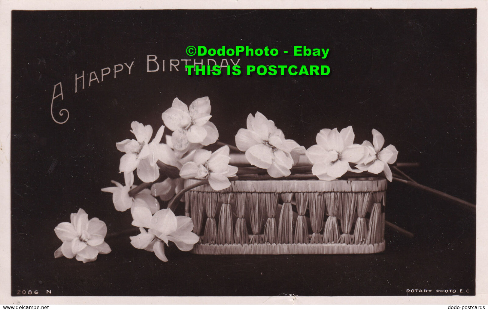 R424191 A Happy Birthday. White Flowers. Rotary Photo. 1909 - Monde