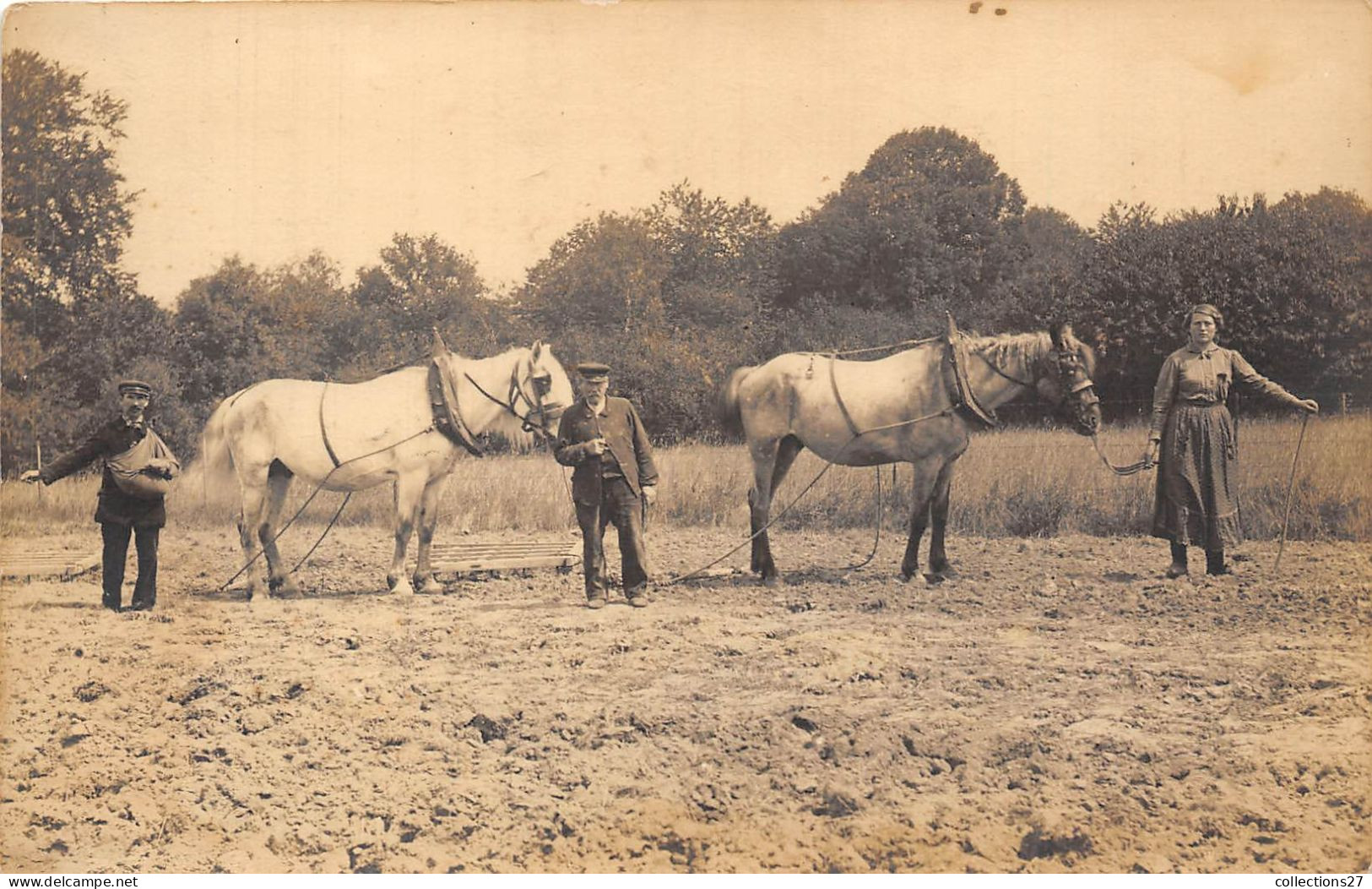 CARTE-PHOTO- SEMAGE DANS LE CHAMP ( A SITUER ) - Cultures