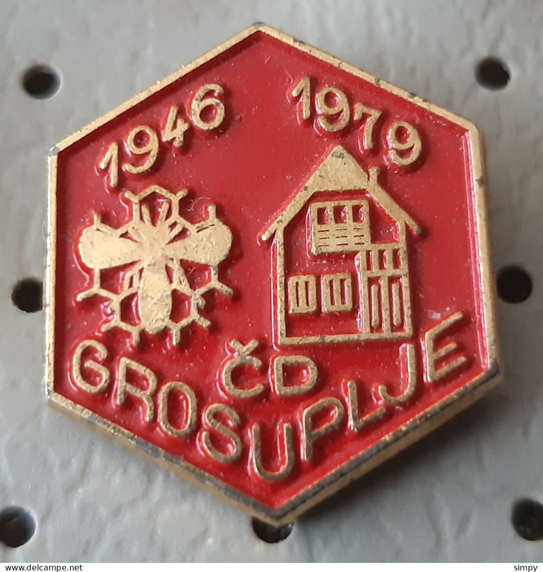 Beekeeping Society CD Grosuplje 1946/1979 Honey  Bee Bees Slovenia  Pin Badge - Animaux