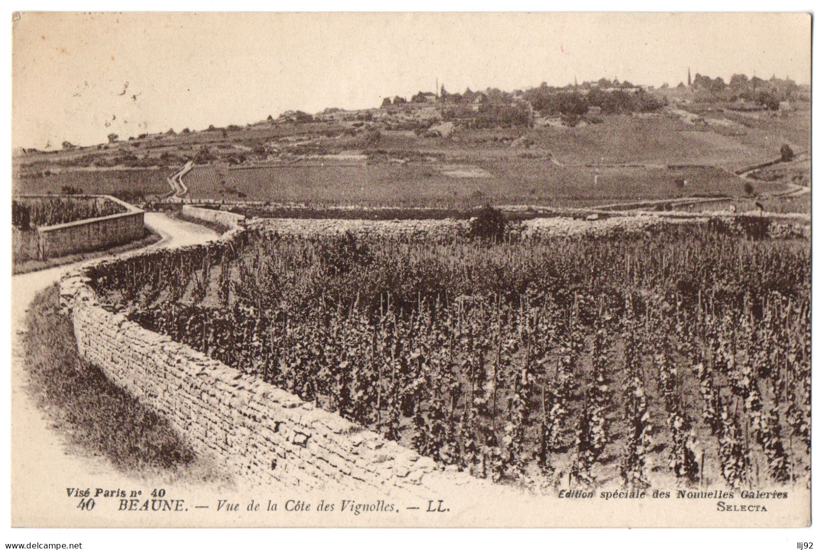 CPA 21 - BEAUNE (Côte D'Or) - 40. Vue De La Côte Des Vignolles - LL - Peu Courante - Beaune