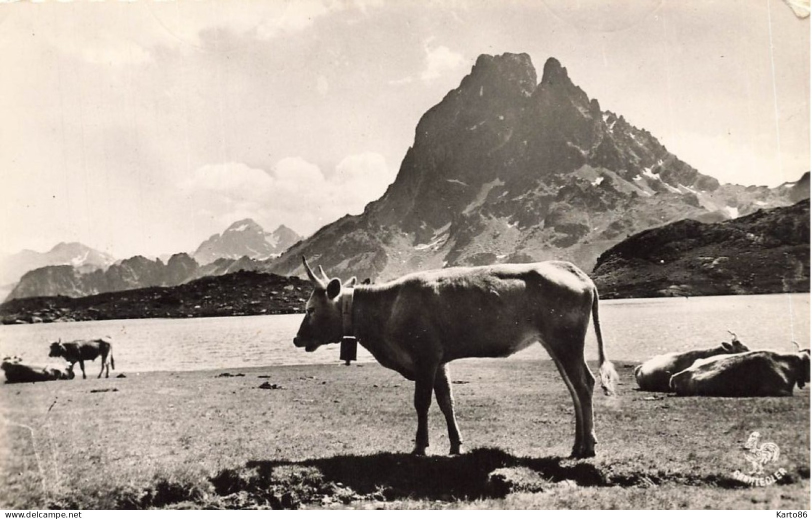 Laruns * Lac D'ayous * Pic Du Midi D'ossau * Vache - Laruns