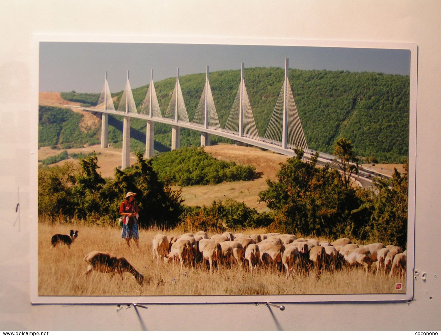 Millau - Le Viaduc - Dos : Descriptif - Millau