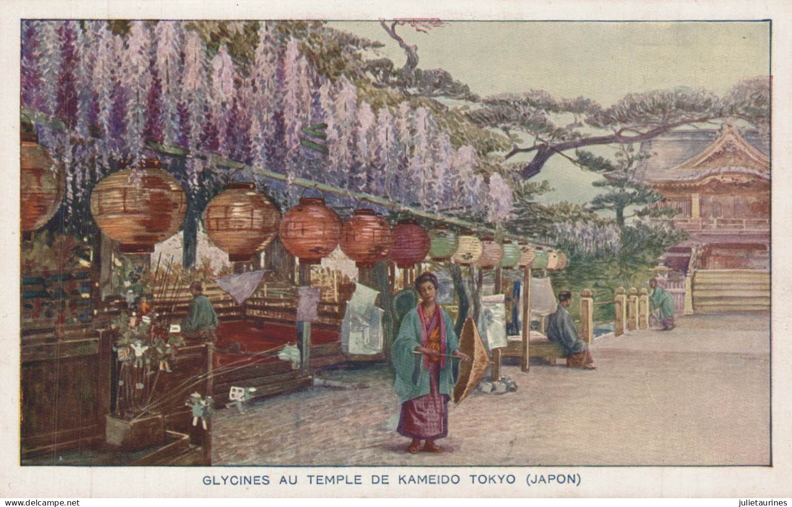 JAPON TOKYO GLYCINES AU TEMPLE DE KAMEIDO BON ETAT - Tokyo