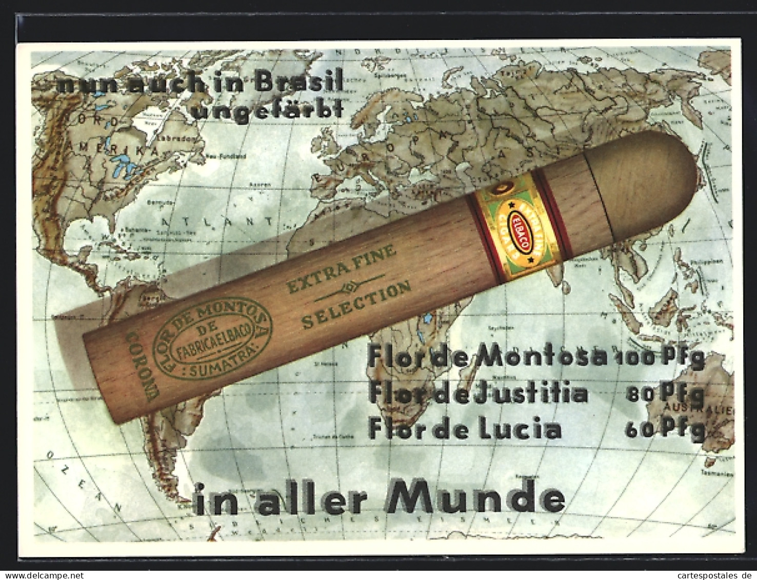 Künstler-AK Nun Auch In Brasil Ungefärbt In Aller Munde, Flor De Montosa Zigarren, Tabak  - Cultivation