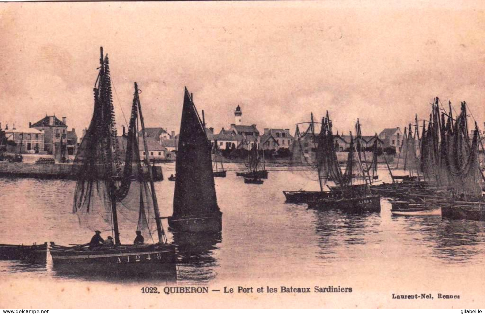 56 - Morbihan - QUIBERON -  Le Port Et Les Bateaux Sardiniers - Quiberon