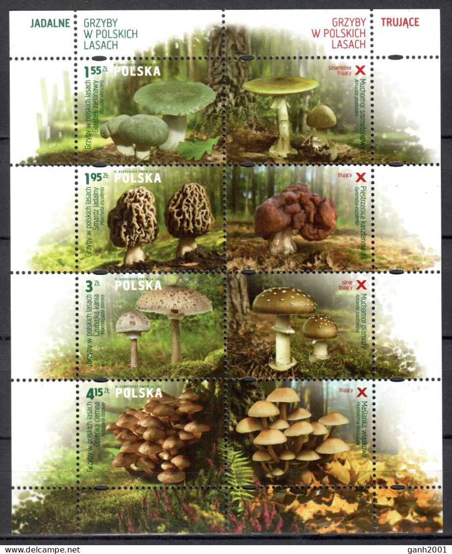 Poland 2012 Polonia / Mushrooms MNH Fungi Champignons Setas Pilze / Cu21528  8-4 - Pilze