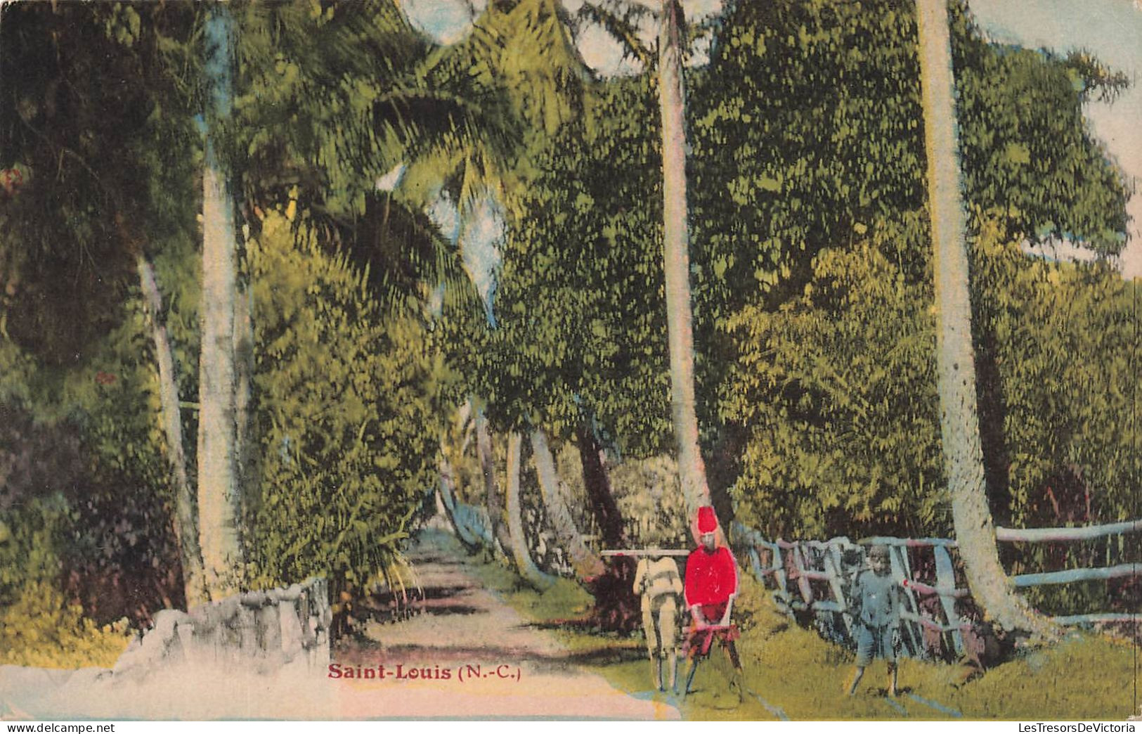 NOUVELLE CALEDONIE - Saint Louis - Carte Postale Ancienne - New Caledonia