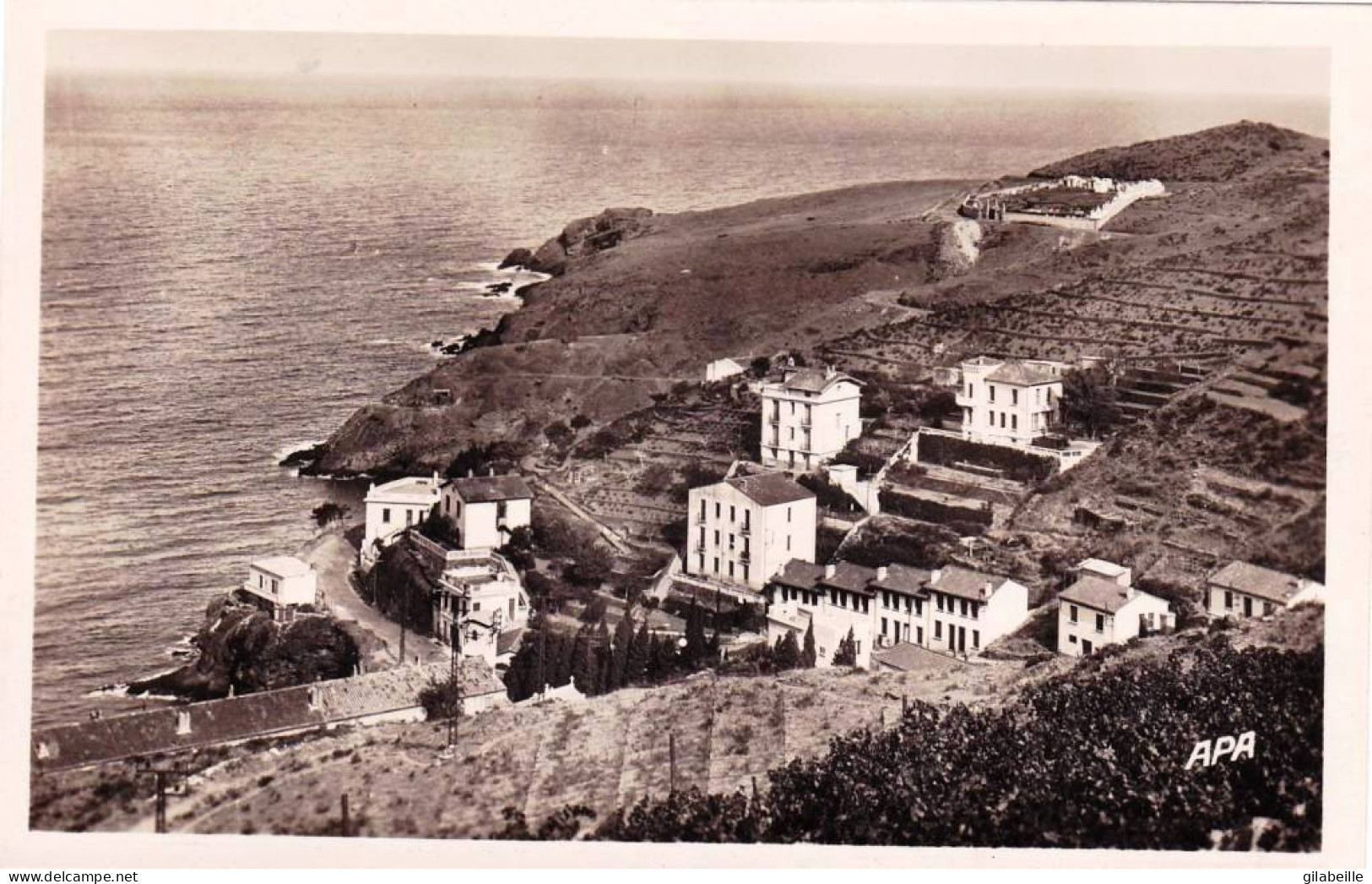 66 - Pyrénées Orientales - CERBERE - Le Cap Cerbere Et Les Villas - Carte Glacée - Cerbere