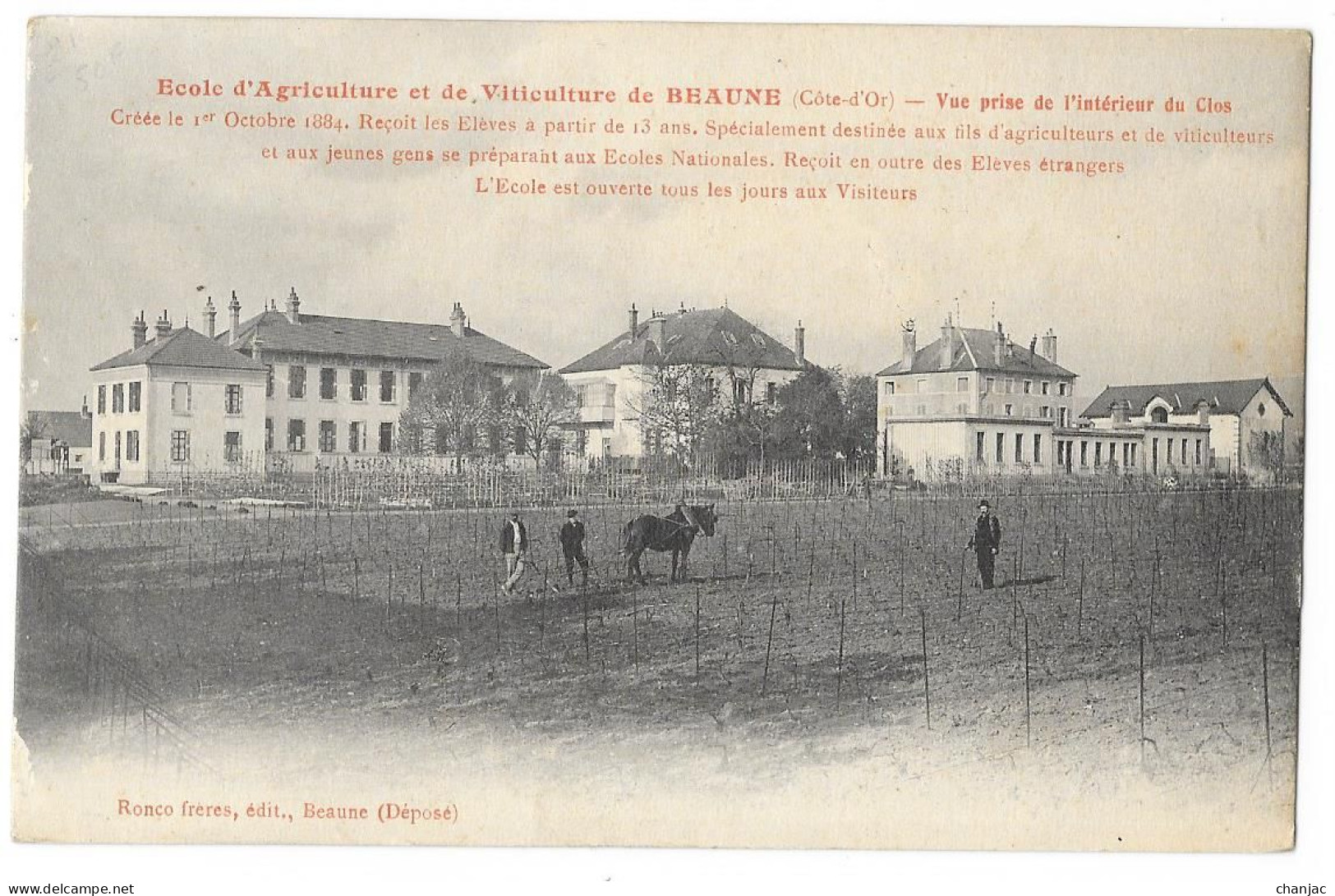 Cpa. 21 BEAUNE - Ecole D'Agriculture Et De Viticulture, Vue Prise à L'Intérieur Du Clos (animée,Cheval) Ed. Ronco Frères - Beaune