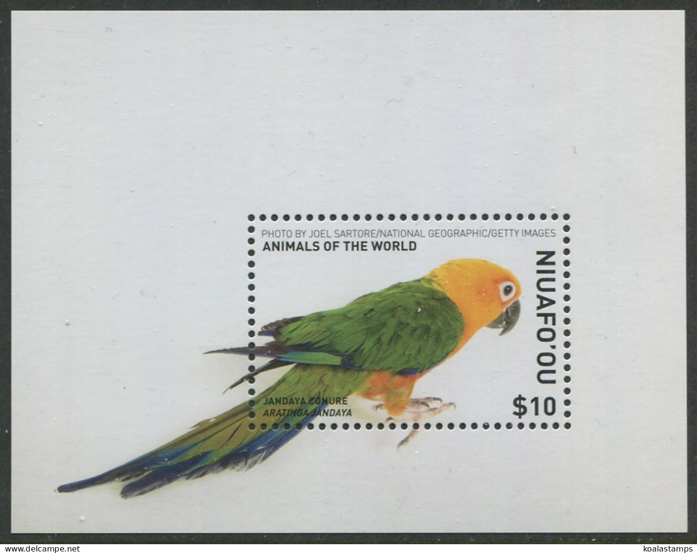 Niuafo'ou 2018 SG484 $10 Parrot MS MNH - Tonga (1970-...)