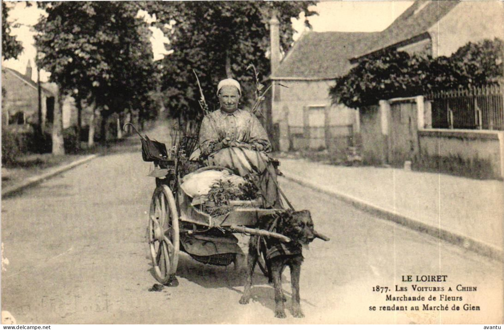 MARCHANDE DE FLEURS / ATTELAGE CHIEN / LE LOIRET - Artesanal