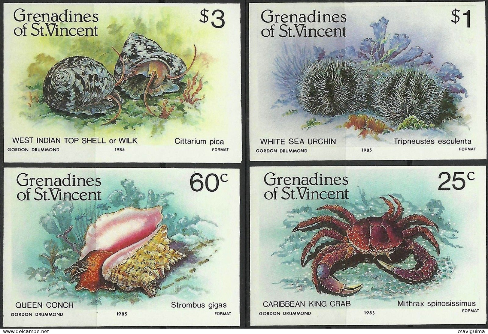 Grenadines Of St Vincent - 1985 - Marine Life - Yv 374/77 ( Non Denteles Imperfs) - Vita Acquatica