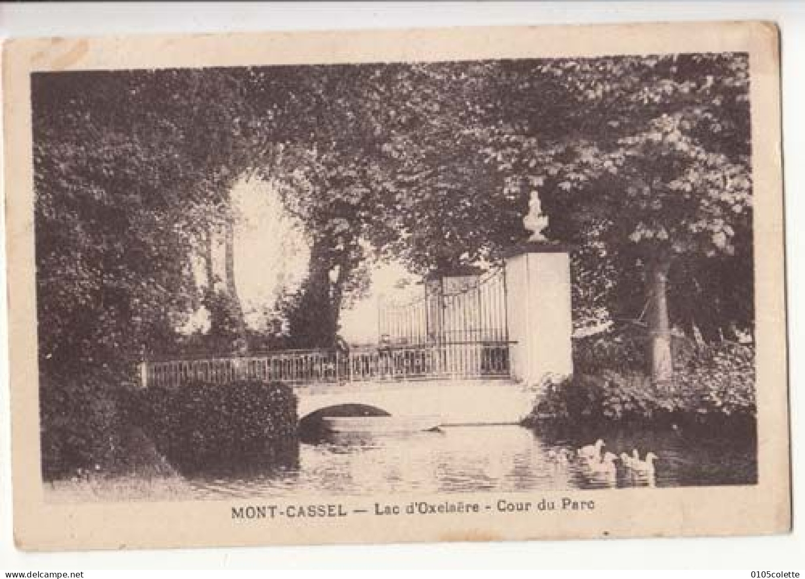 Carte France 59 - Mont Cassel - Lac D'Oxelaëre - Gour Du Parc : PRIX FIXE - ( Cd072) - Cassel