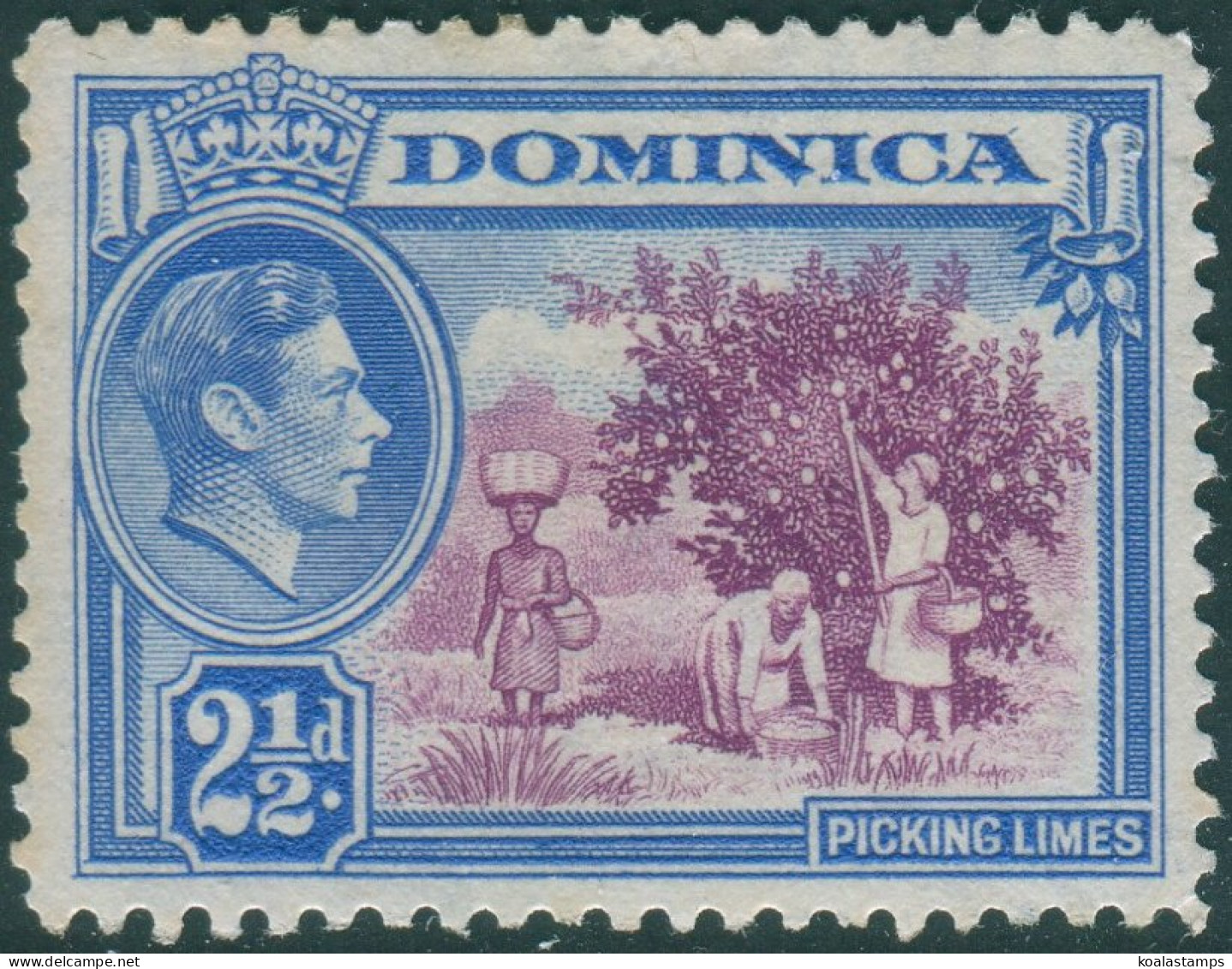 Dominica 1938 SG103 2½d Purple And Bright Blue KGVI Picking Limes MNG (amd) - Dominica (1978-...)