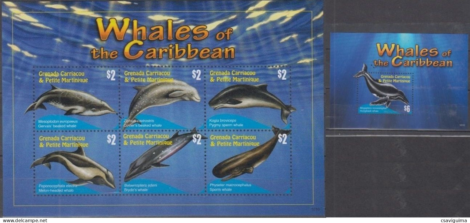 Grenada Grenadines - 2010 - Whales - Yv 3816/21 + Bf 615 - Ballenas