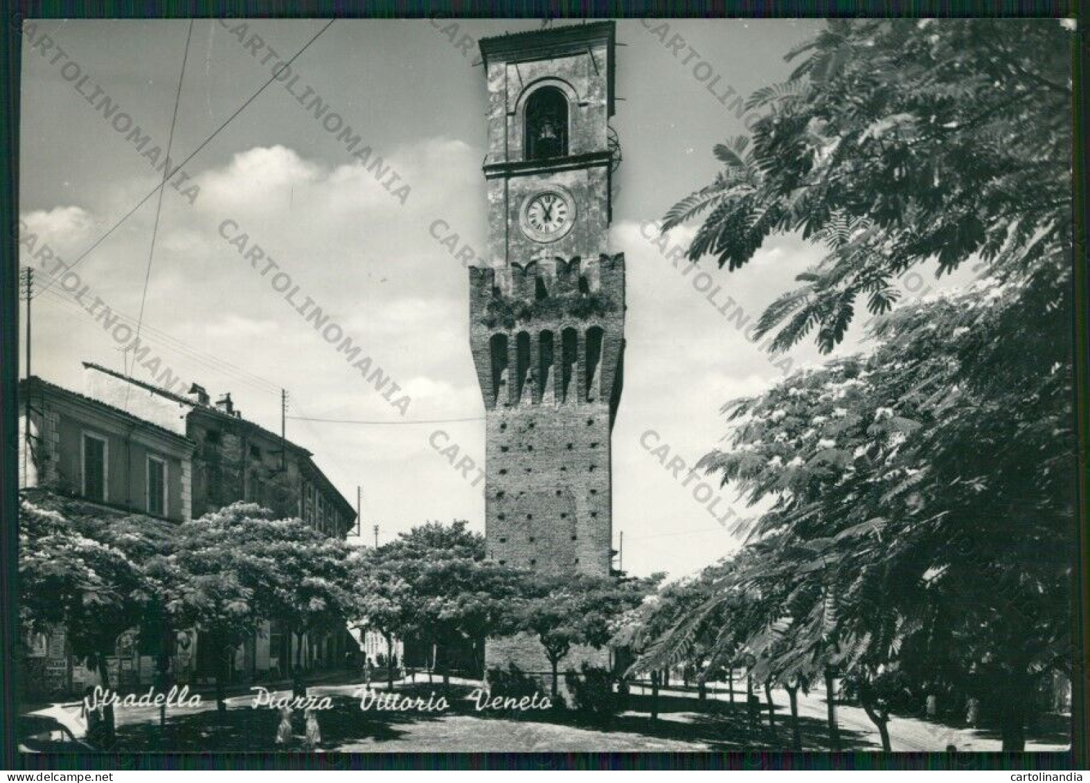 Pavia Stradella Foto FG Cartolina ZK2077 - Pavia