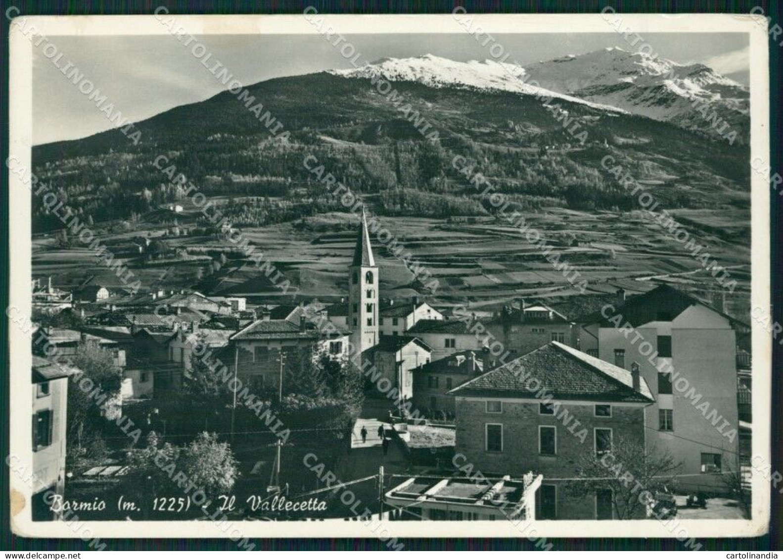 Sondrio Bormio Foto FG Cartolina ZK2570 - Sondrio