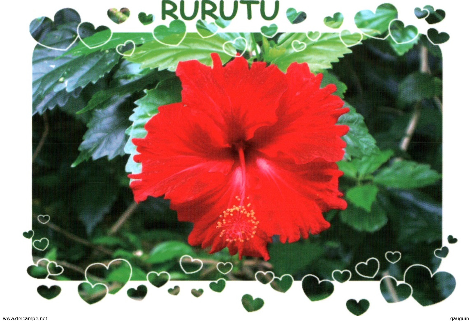 CPM - RURUTU - Hibiscus - Photo RC.Wymann - Edition STP Multipress - Polynésie Française