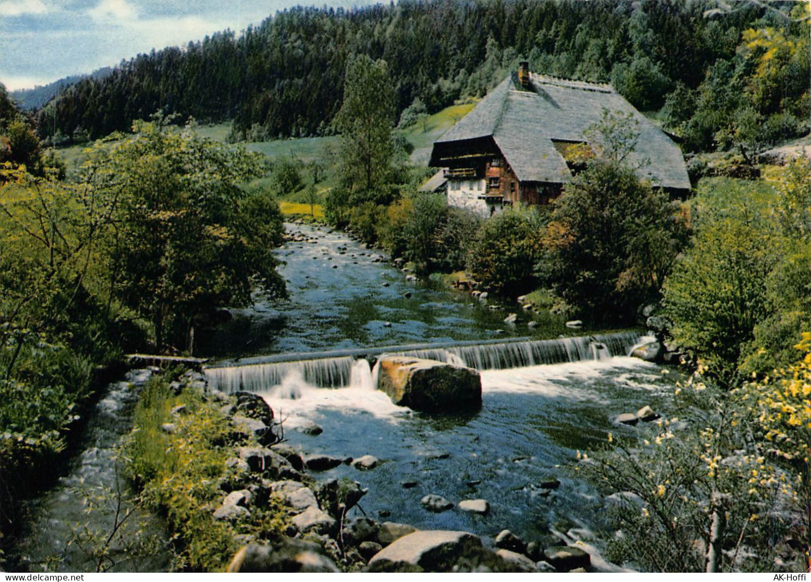 Schwarzwald-Idyll An Der Gutach - Gutach (Breisgau)