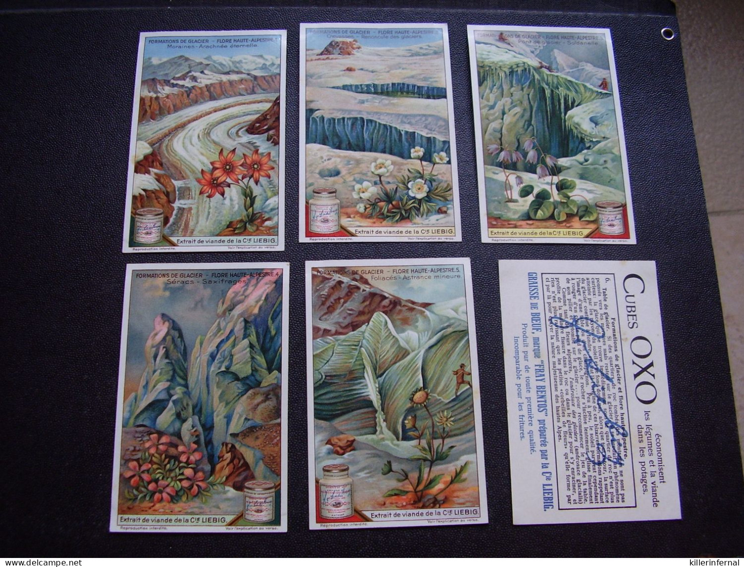 Original Old Cards Chromos Liebig S 1193 Formations De Glacier Complet - Liebig