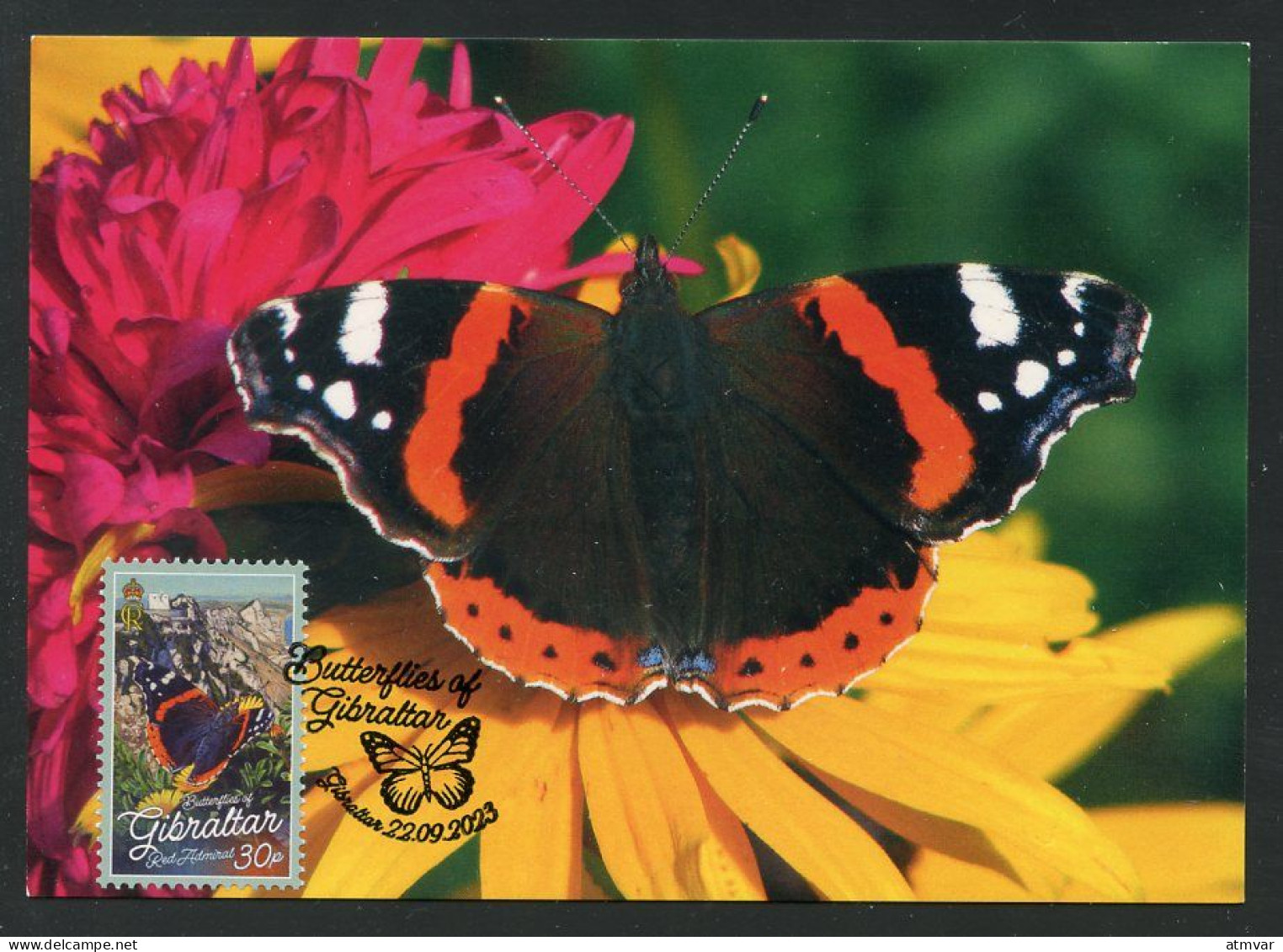 GIBRALTAR (2023) Carte Maximum Card - Butterflies, Papillon, Red Admiral, Vanessa Atalanta, Vulcain, Schmetterling - Gibilterra