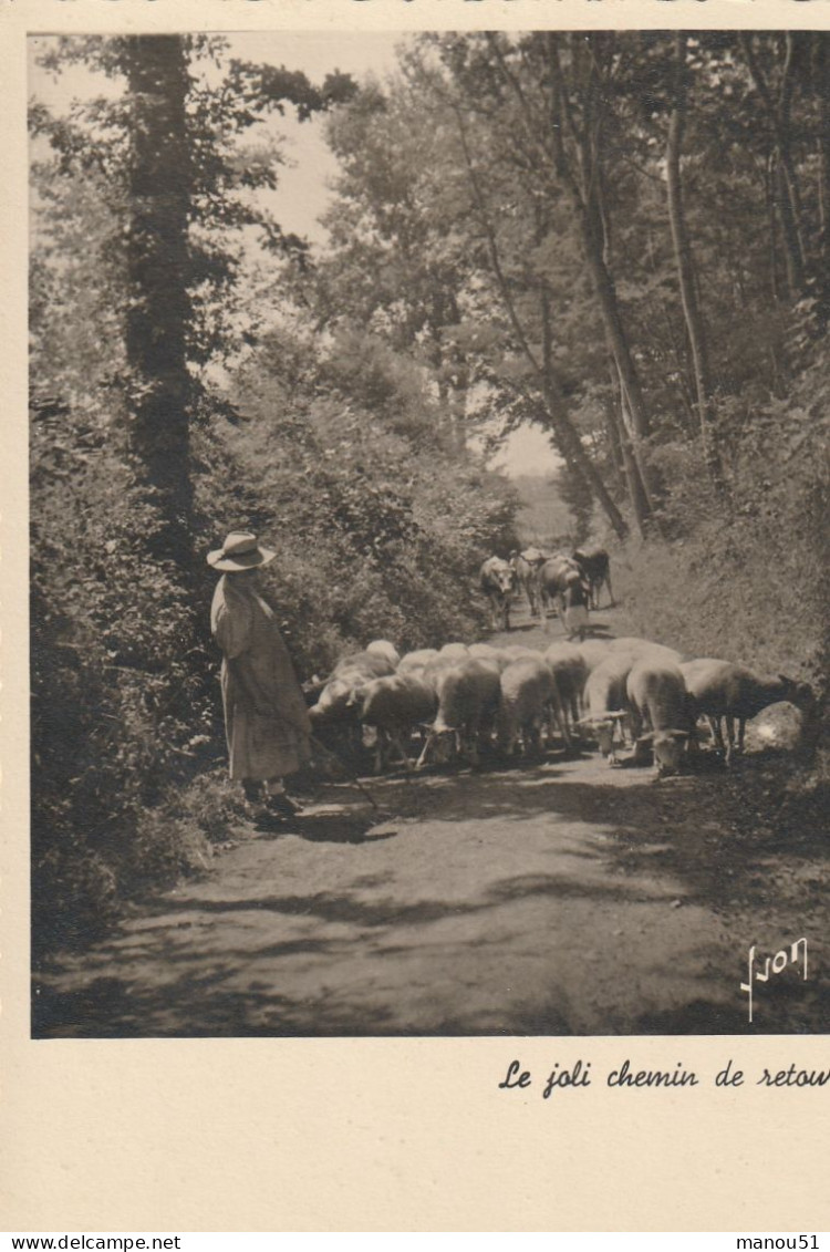 BERGERE Et Son Troupeau : Le Joli Chemin De Retour - Viehzucht