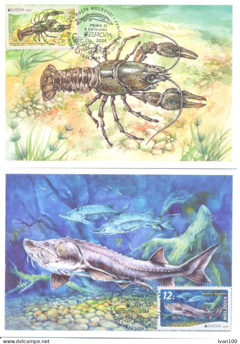 2024. Moldova,  Europa 2024, Underwater Flora And Fauna Of Moldova, 2 Maxicards, Mint/** - Moldavia