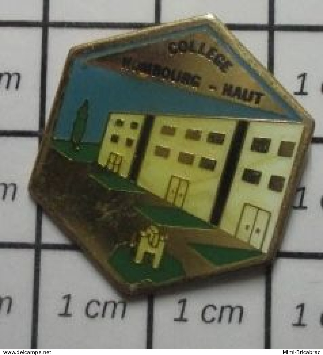 1618B Pin's Pins / Beau Et Rare : ADMINISTRATIONS / COLLEGE HOMBOURG-HAUT Pas HOMBOURG-LA-VOISINE - Amministrazioni