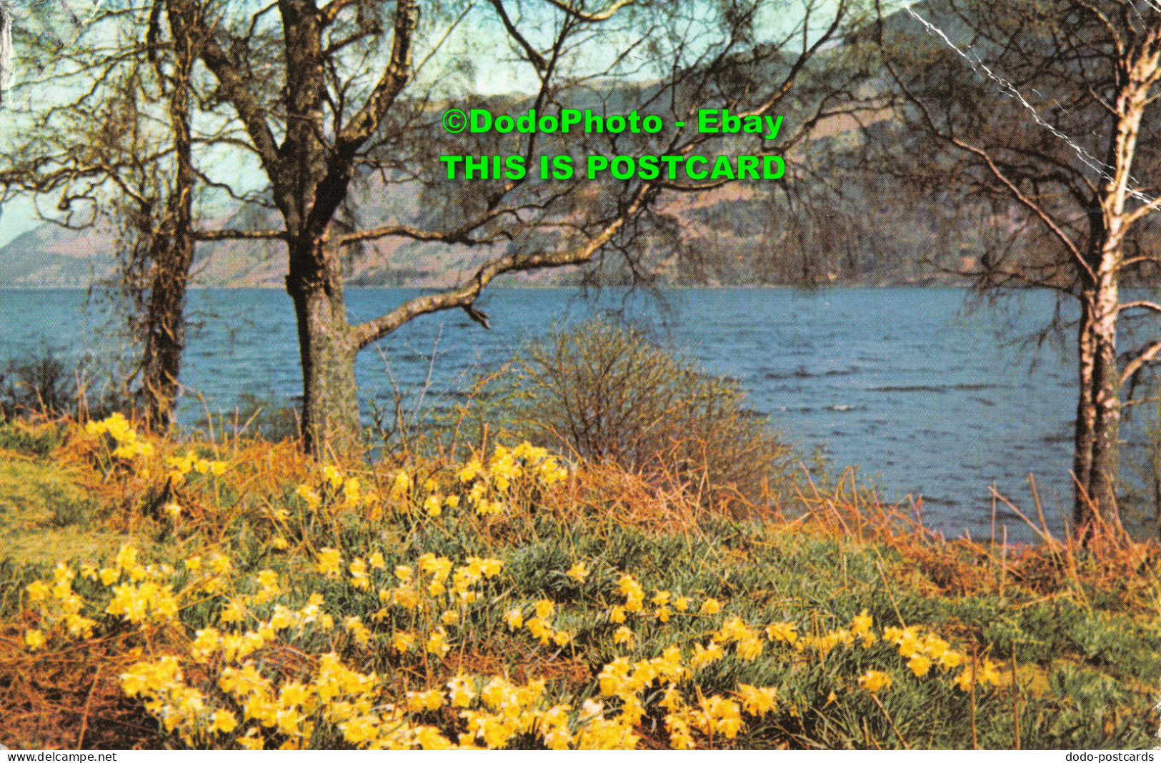 R425283 Ullswater. Wordsworth Daffodils. Sanderson And Dixon. Jarrold. 1971 - Monde