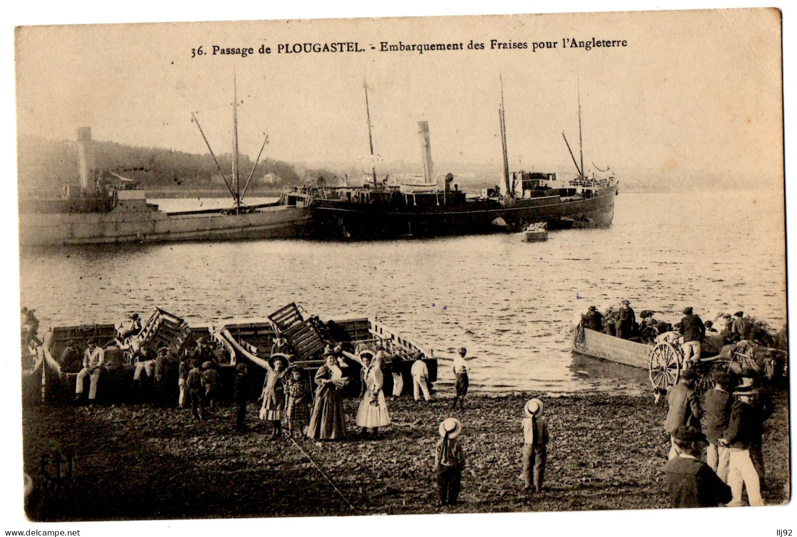 CPA 29 - PLOUGASTEL-DAOULAS (Finistère) - 36. Passage De Plougastel - Embarquement Des Fraises Pour L'Angleterre - Plougastel-Daoulas