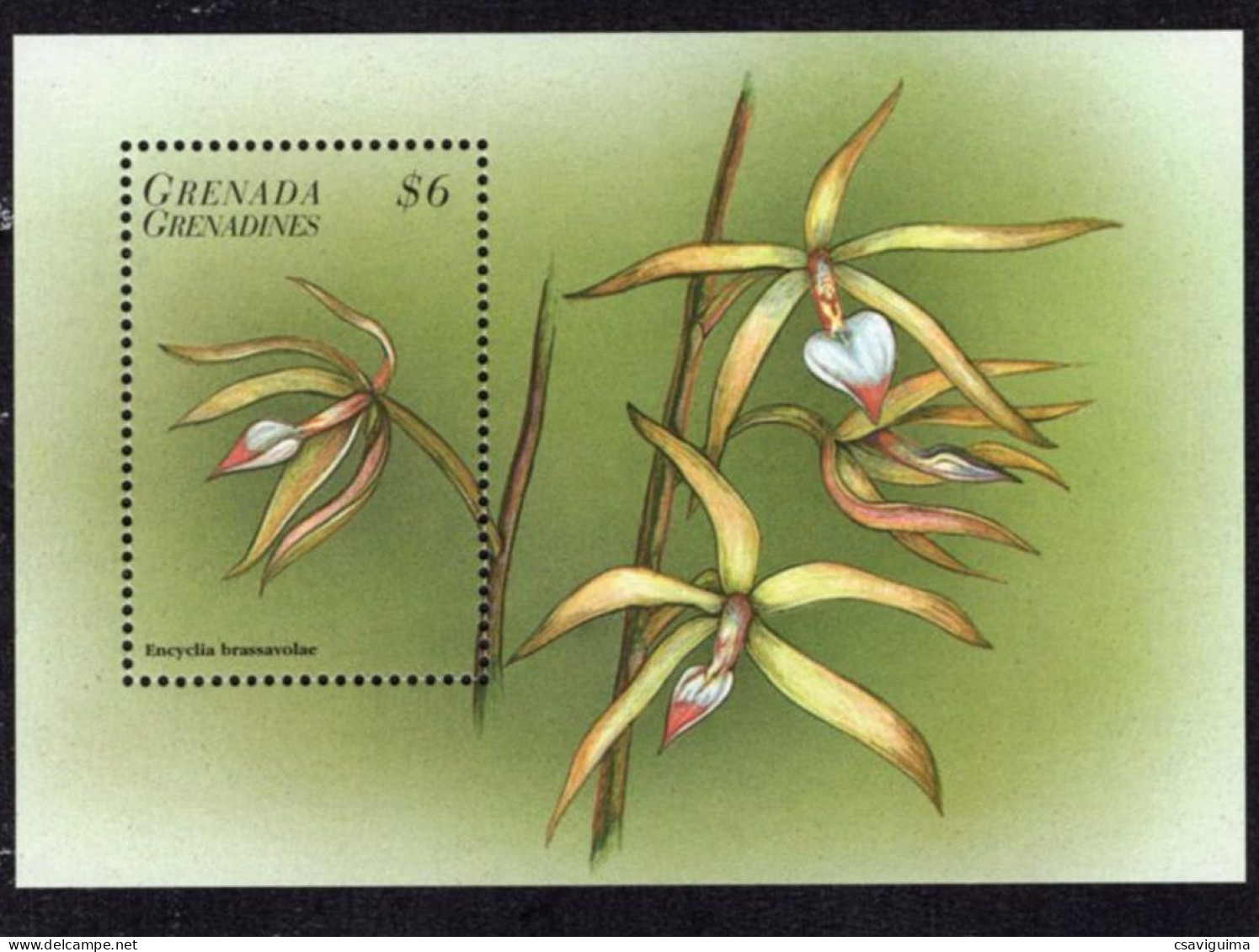 Grenada Grenadines - 1998 - Flowers - Yv Bf 410 - Other & Unclassified