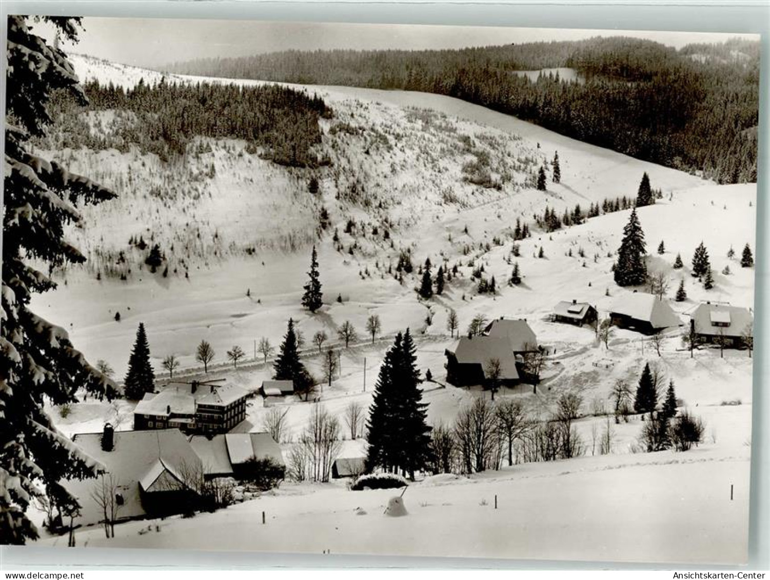 39665204 - Neuglashuetten , Schwarzwald - Feldberg